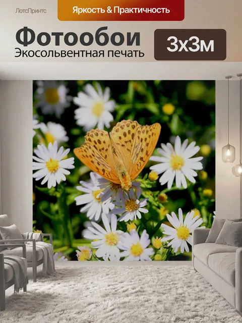 Фотообои Бабочка