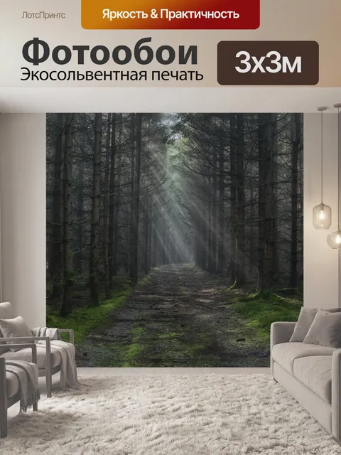 Фотообои солнечные лучи в лесу дороги