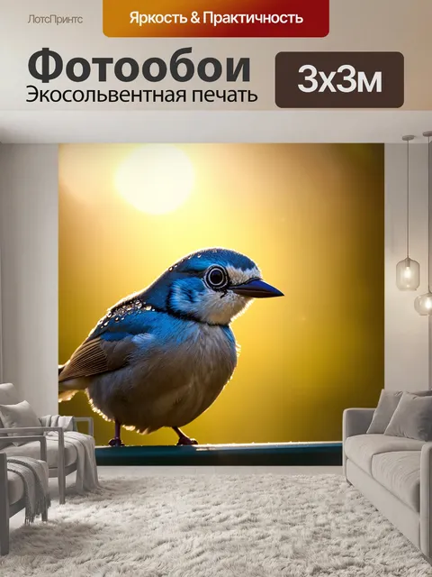 Фотообои птица, мерцающая в солнечных лучах, с каплями росы на перьях