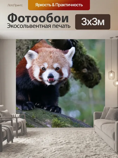 Фотообои Животные