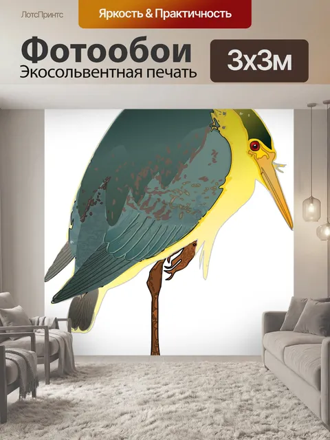 Фотообои Ночная цапля с черной короной