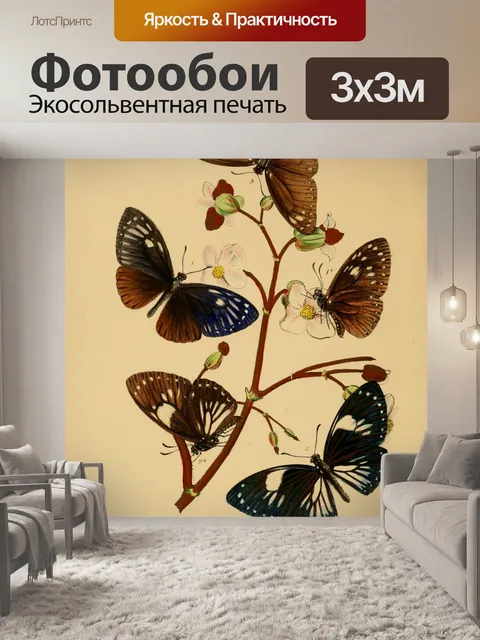 Фотообои Бабочки Винтажное Искусство