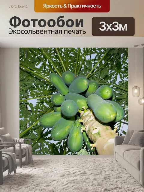 Фотообои Папайя