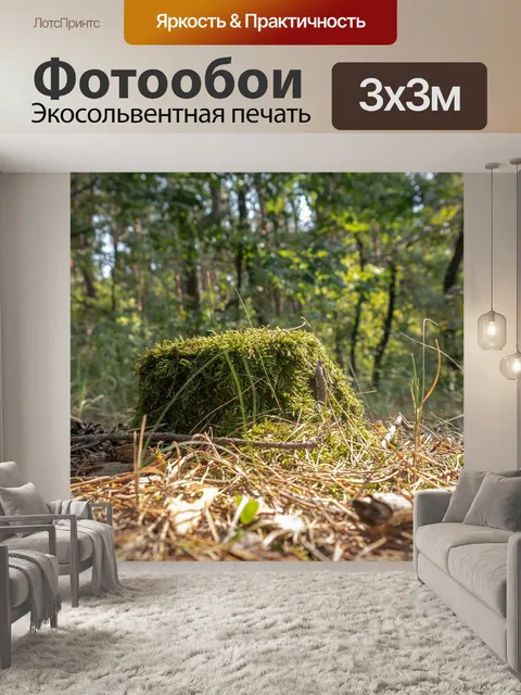 Фотообои Пень