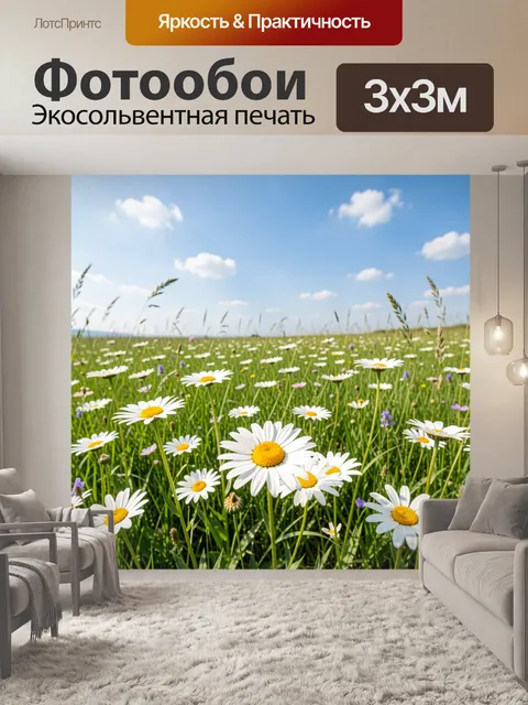Фотообои Ромашковый луг под голубым небом