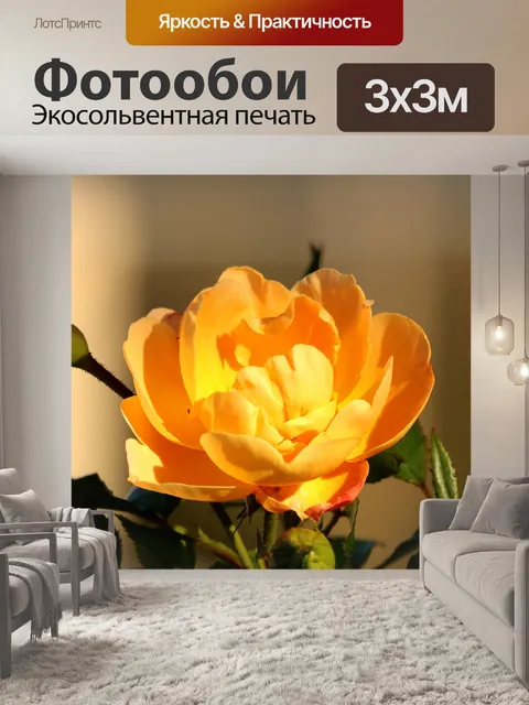 Фотообои Желтая роза крупным планом