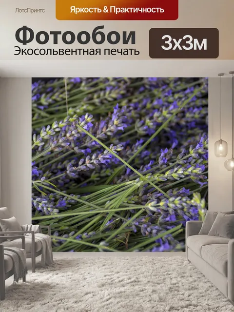 Фотообои Лаванда