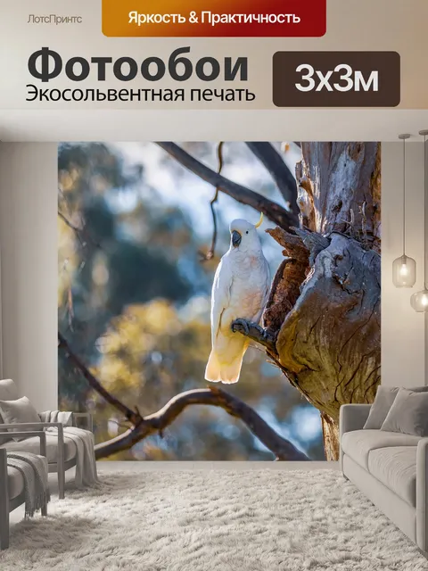 Фотообои Хохлатый какаду