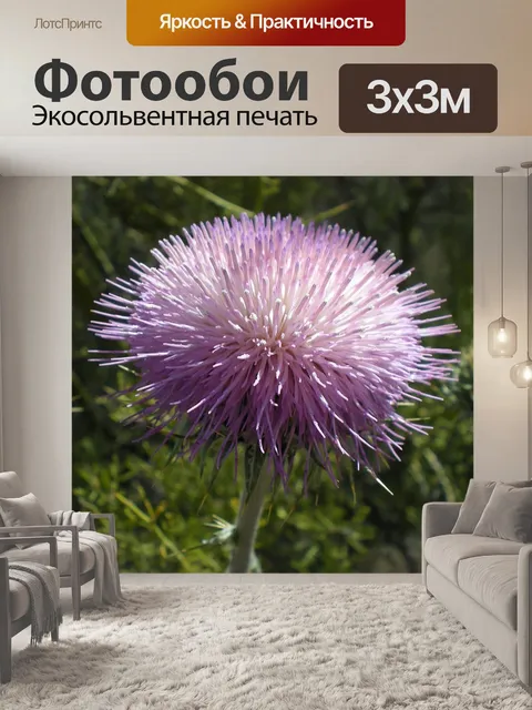 Фотообои Пустынный чертополох