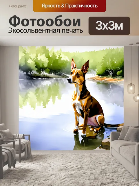 Фотообои изображение басенджи, сидящего на берегу тихого озера, отражающегося в спокойной воде