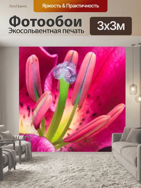 Фотообои Лили