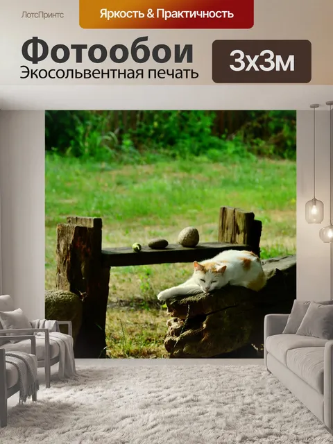 Фотообои Суховоля