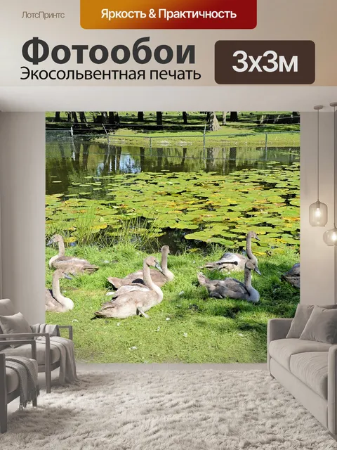 Фотообои Группа