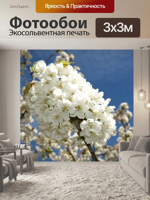Фотообои Вишневые ветки