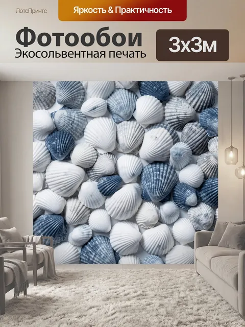 Фотообои Коллекция морских раковин