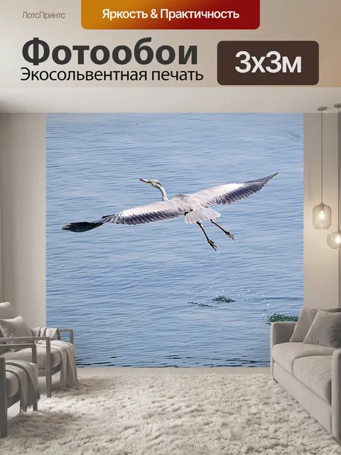 Фотообои Серая цапля