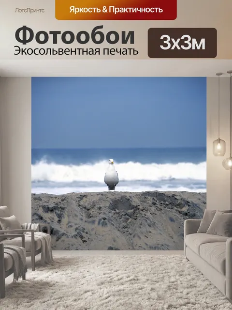Фотообои Чайка и море