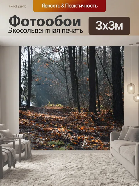Фотообои Лес