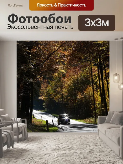 Фотообои Дорога