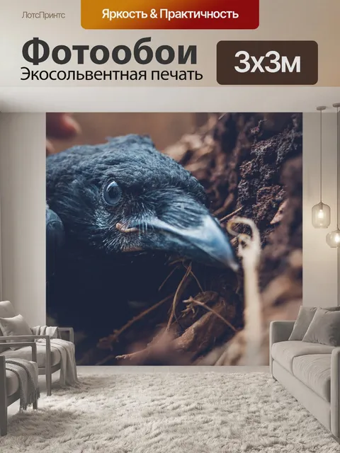 Фотообои Ворона
