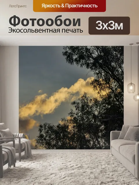 Фотообои Эвкалиптовые деревья