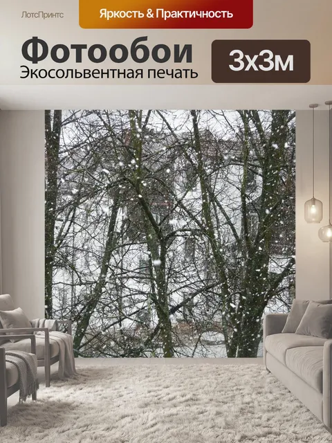 Фотообои Снегопад