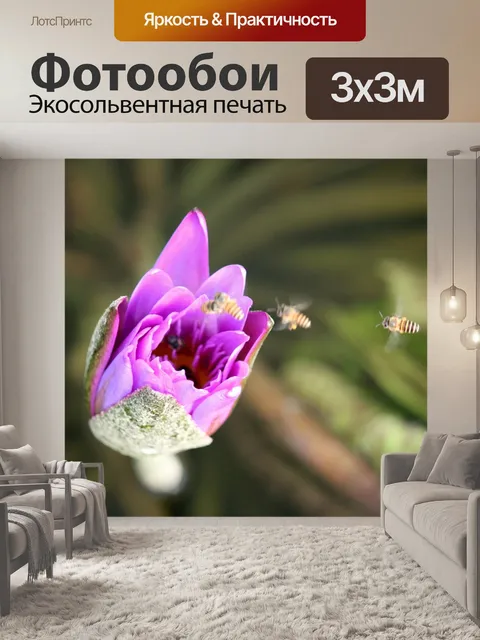 Фотообои бутон лотоса с пчелой внутри