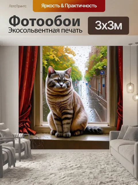 Фотообои британская короткошерстная кошка сидит на подоконнике