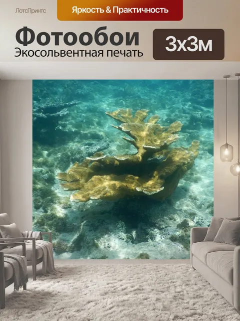 Фотообои Подводный