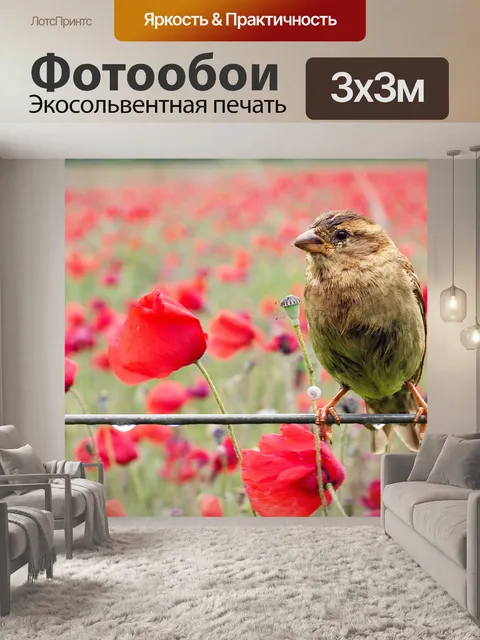 Фотообои Птичий попковый воробей
