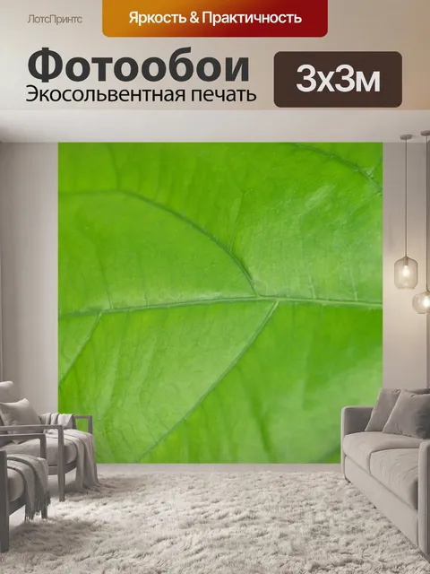 Фотообои Детали зеленого листа