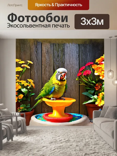 Фотообои карликовый попугай, сидящий на ярко окрашенной кормушке, на фоне старинного деревянного забора, украшенного…