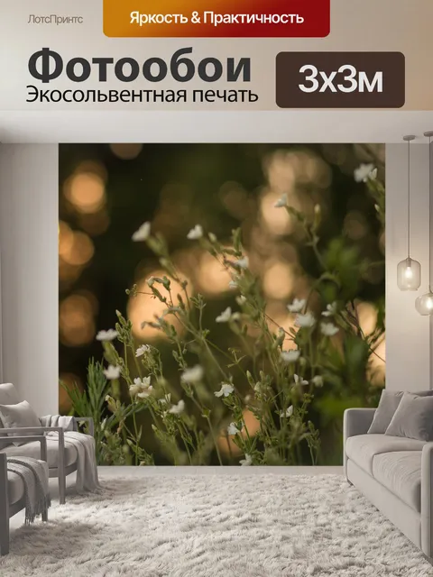 Фотообои Цветы на закате