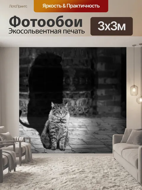 Фотообои Кошка