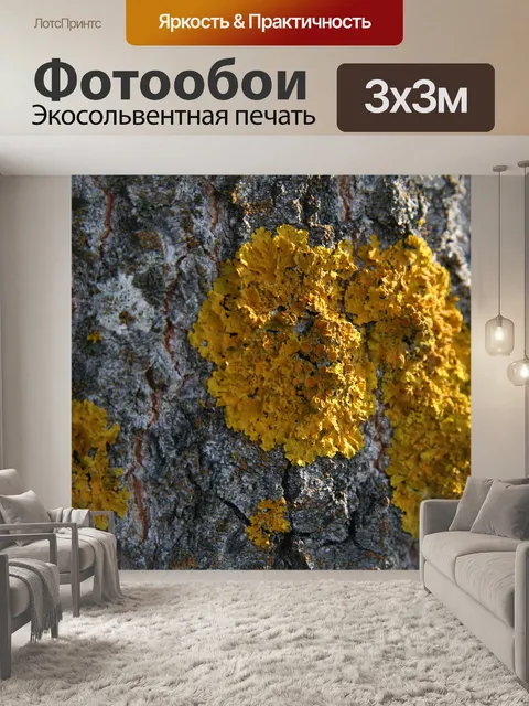 Фотообои Дерево