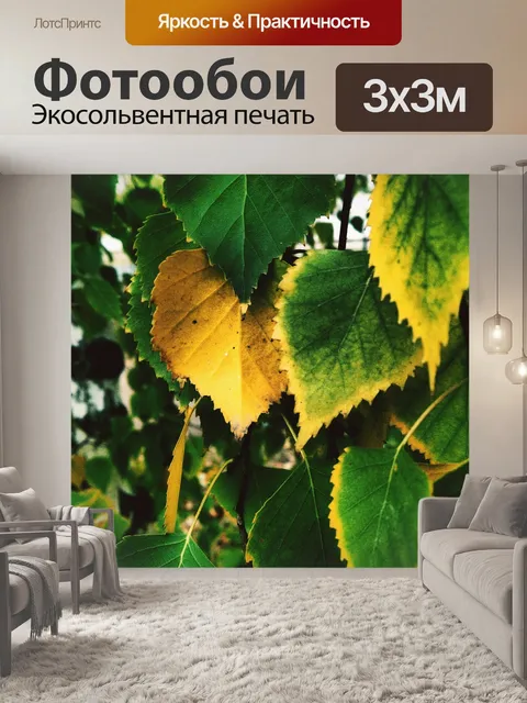 Фотообои Желтый лист