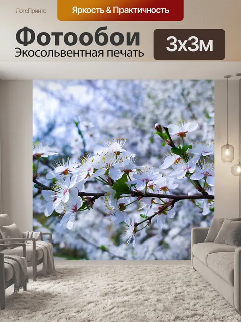 Фотообои Белые цветки