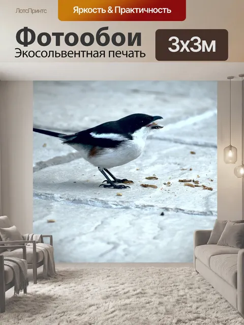 Фотообои Птица