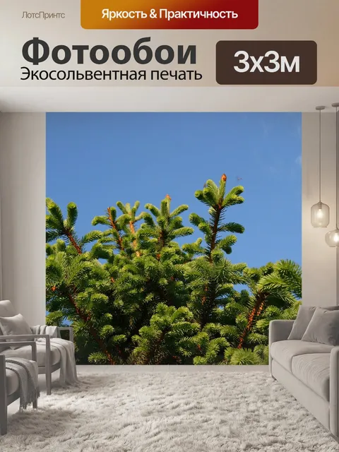 Фотообои Весна