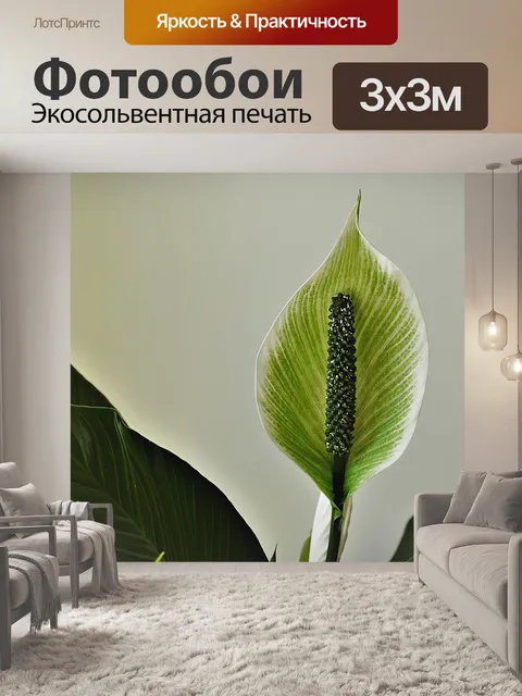 Фотообои Лист оболочки