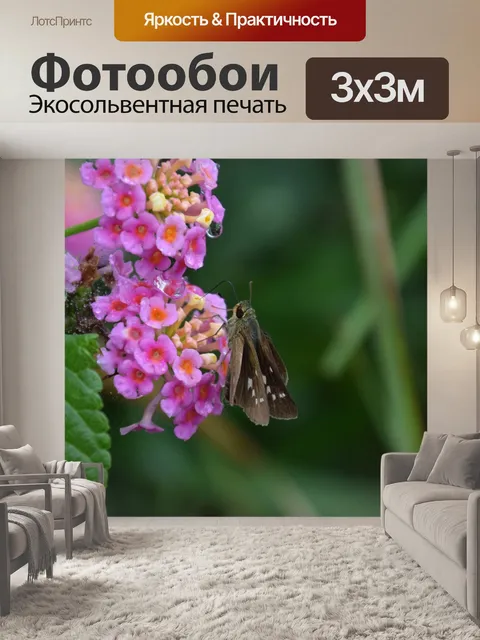 Фотообои Розовый цветок