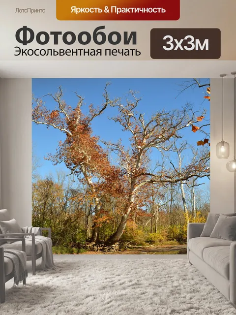 Фотообои Дерево