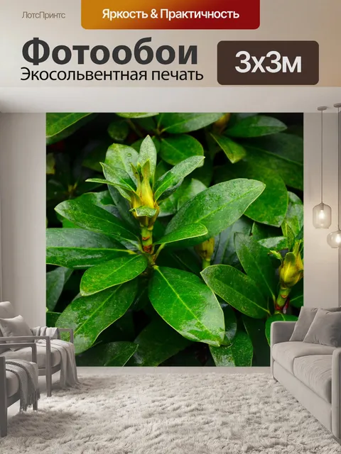 Фотообои Листья