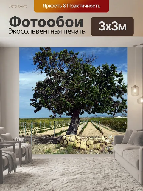 Фотообои Дерево