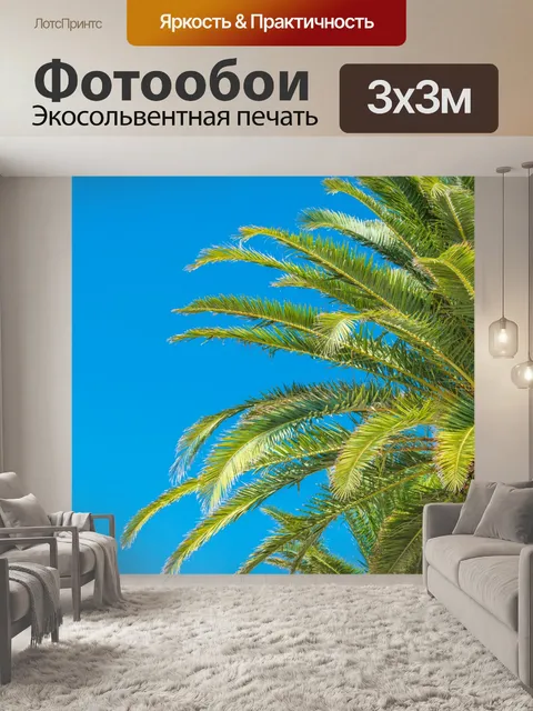 Фотообои Пальмы и голубое небо