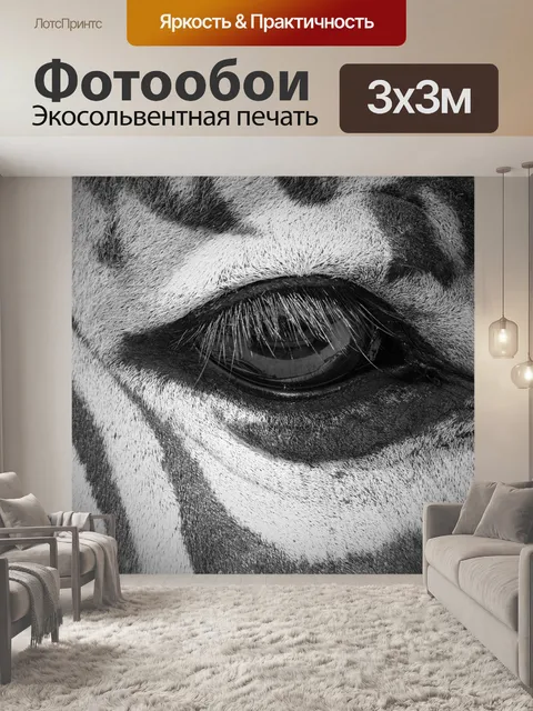 Фотообои Зебра