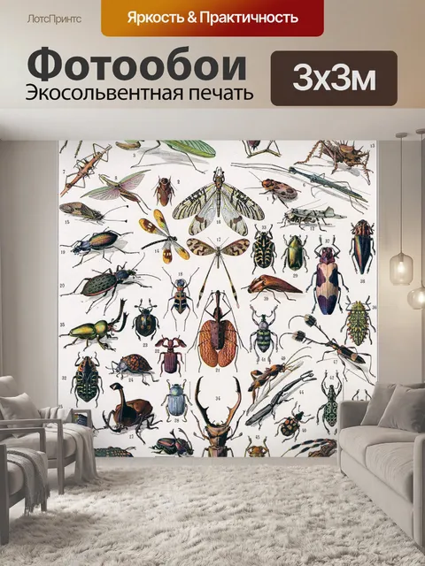 Фотообои Винтажный плакат с насекомыми и жуками