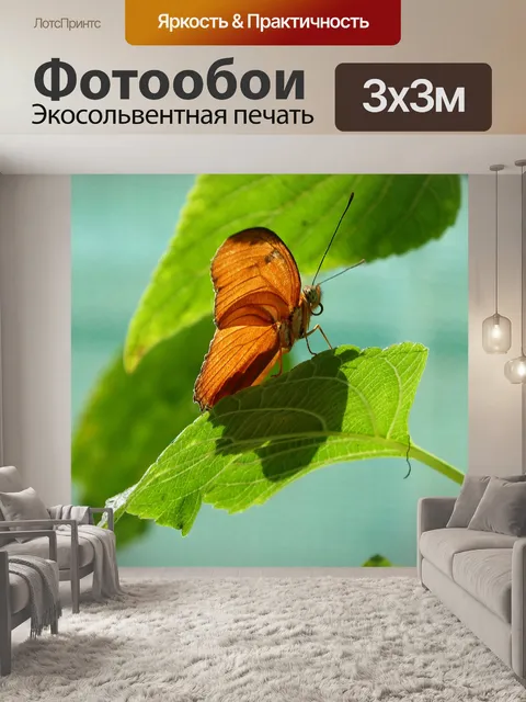 Фотообои Бабочка на листе
