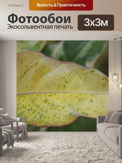 Фотообои желтый лист