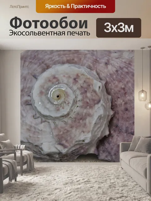 Фотообои Морские улитки